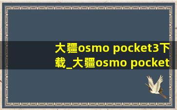 大疆osmo pocket3下载_大疆osmo pocket3可以竖屏拍摄吗